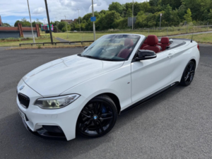 2015 BMW 2 Series 2.0 220d M Sport Euro 6 (s/s) 2dr in White — image 4