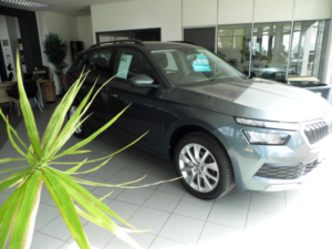 2021 Skoda Kamiq