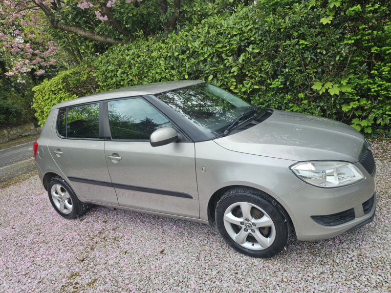 2011 Skoda Fabia 1.2 Tsi Se in Beige — image 1
