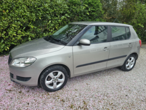 2011 Skoda Fabia 1.2 Tsi Se in Beige — image 2
