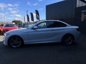 2018 BMW 2 Series 2.0 220d M Sport Coupe in White — image 6