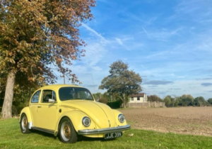 1975 Volkswagen Beetle in Yellow — image 3