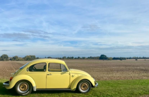 1975 Volkswagen Beetle in Yellow — image 4