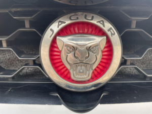 2019 Jaguar F-Type 2.0i Gpf R-Dynamic Auto Euro 6 (s/s) 2dr in Grey — image 6