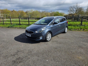2015 Kia Carens