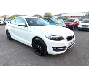 2016 BMW 2 Series 2.0 218d Sport Euro 6 (s/s) 2dr in White — image 1