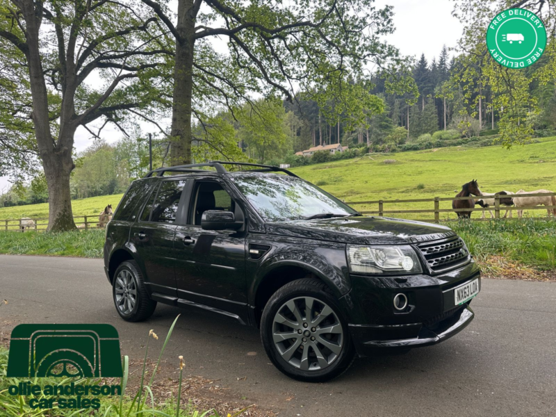 2013 Land Rover Freelander 2 2.2 Sd4 Dynamic SUV 5dr Diesel Commandshift 4WD Euro 5 (190 Ps) in Black — image 1