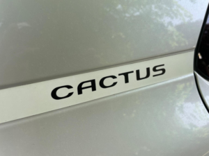 2017 Citroen C4 Cactus 1.6 Bluehdi W Euro 6 5dr in White — image 5