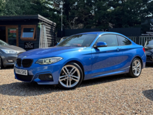 2016 BMW 2 Series 2.0 218d M Sport Auto Euro 6 (s/s) 2dr in Blue — image 3