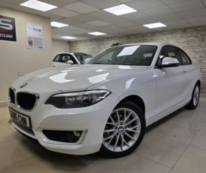 2015 BMW 2 Series 2.0 218d Se Coupe 2dr Diesel Manual Euro 6 (s/s) (150 Ps) in Multicolour — image 2