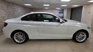2015 BMW 2 Series 2.0 218d Se Coupe 2dr Diesel Manual Euro 6 (s/s) (150 Ps) in Multicolour — image 6